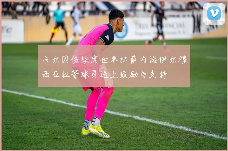卡尔因伤缺席世界杯萨内诺伊尔穆西亚拉等球员送上鼓励与支持